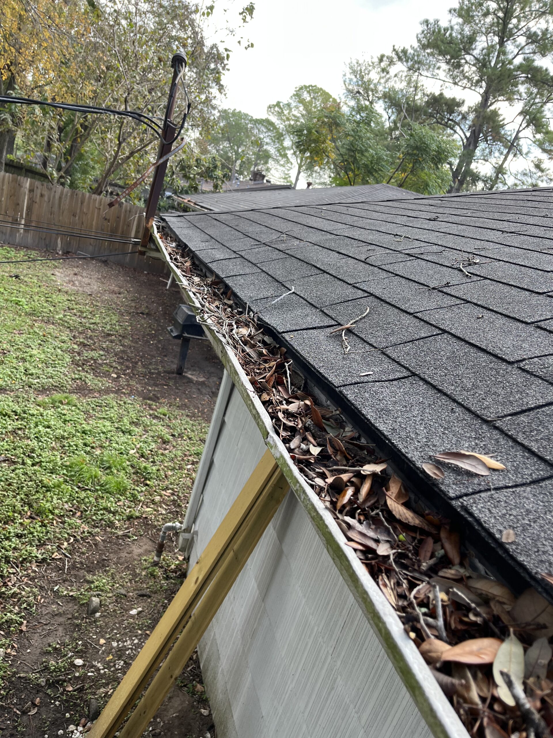 Gutter clogged with pine needles